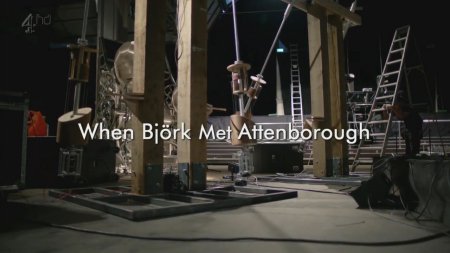 When Bjork Met Attenborough